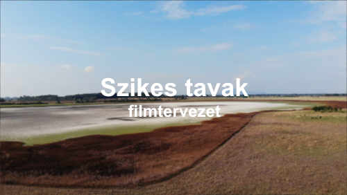 Szikes tavak