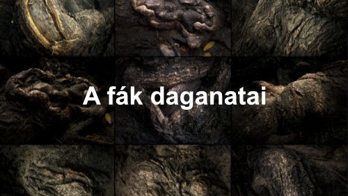 A fák daganatai